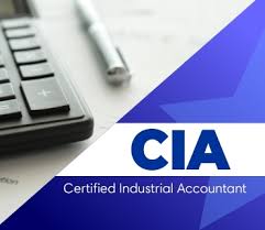 Certified Industrial Accountant (CIA) Tally Prime